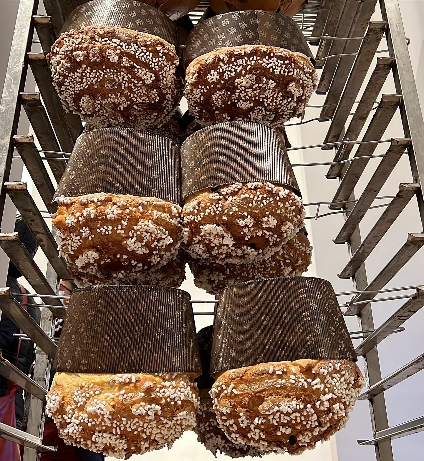 Bilanciamento Ricette Panettone - Manuale+Calcolatore