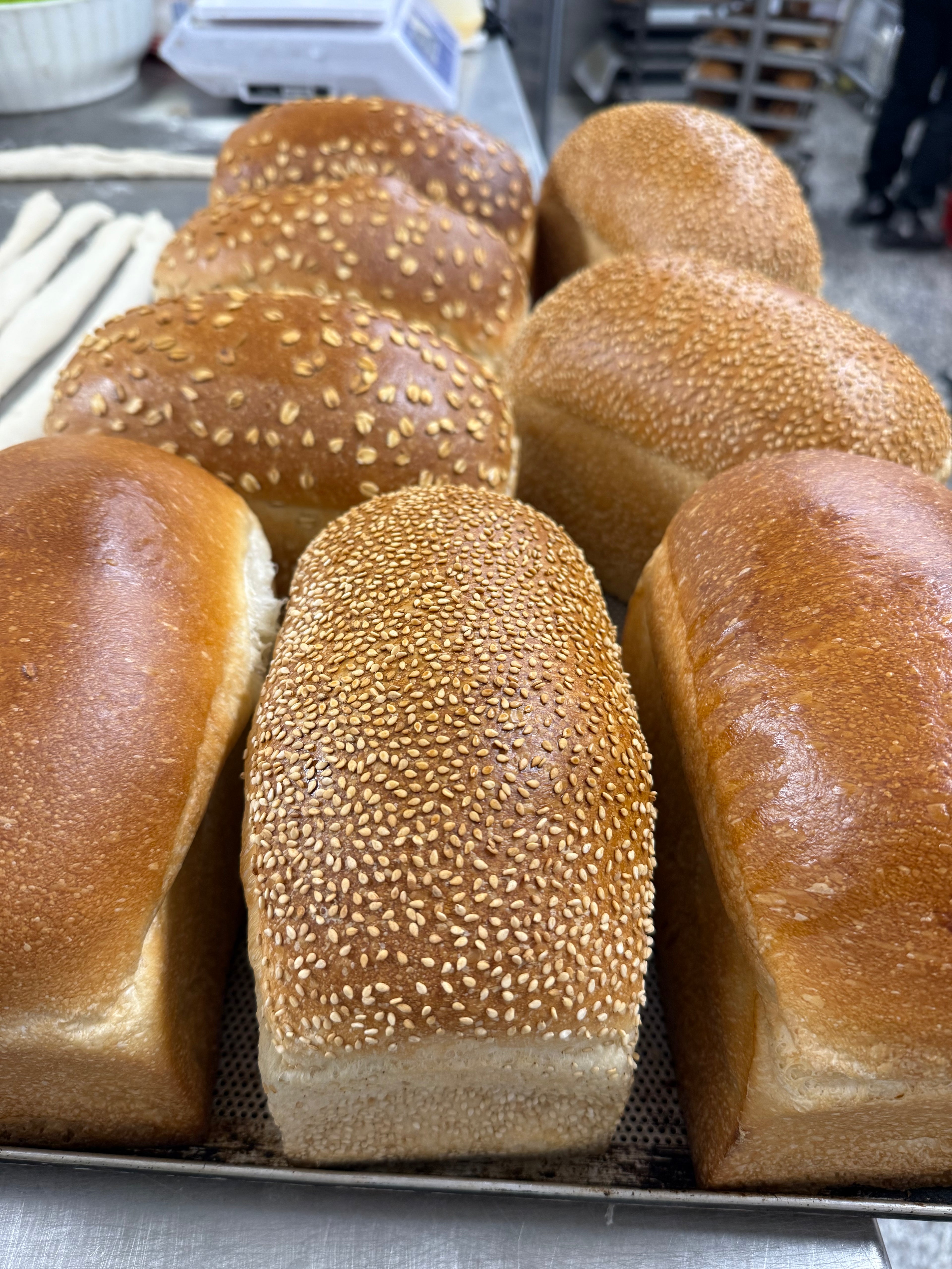 Burger Buns VEG
